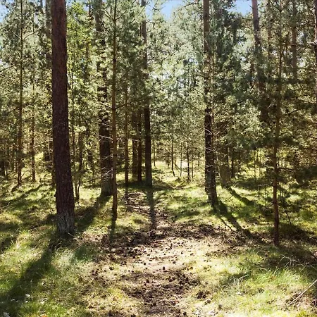 1458-aakirkeby-fyrreskoven-38 度假居 *